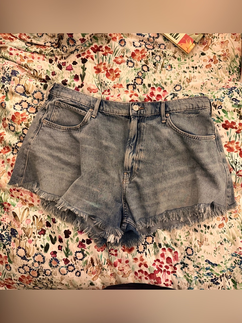 Free People We The Free Sparks Fly Shorts size 32 NWT
